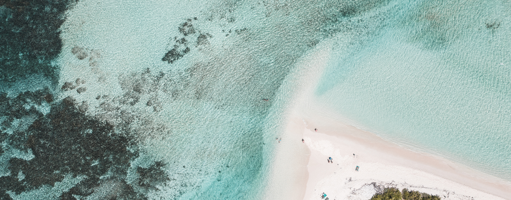 Hospitality Industry Report 2026